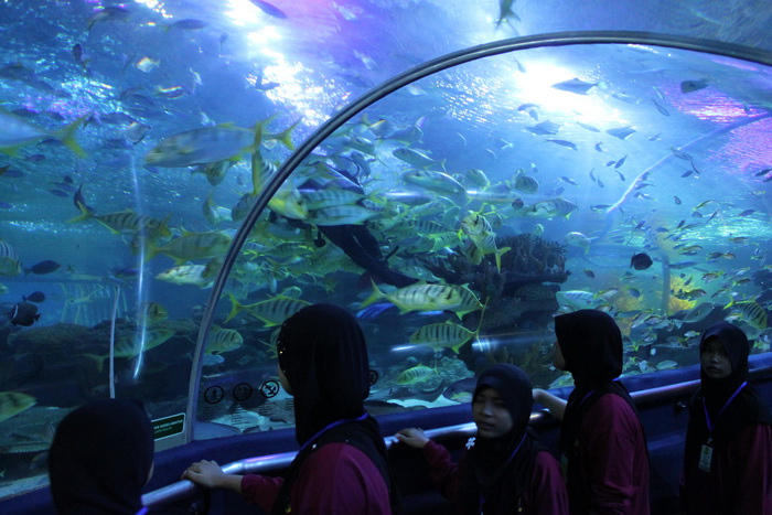 Куала-Лумпур. Океанариум Aquaria. Морские обитатели.