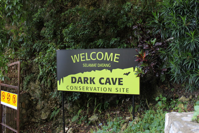 Куала-Лумпур. Пещеры Бату. Темная пещера.