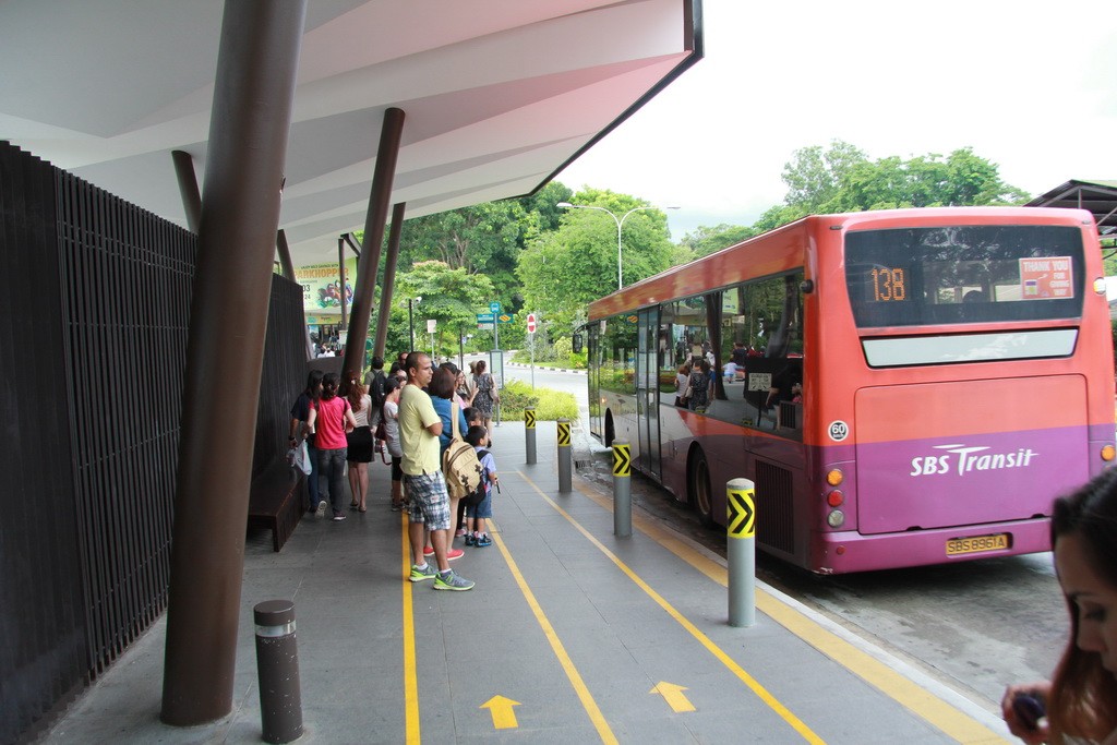 Сингапур. Как добраться до зоопарка. Автобус