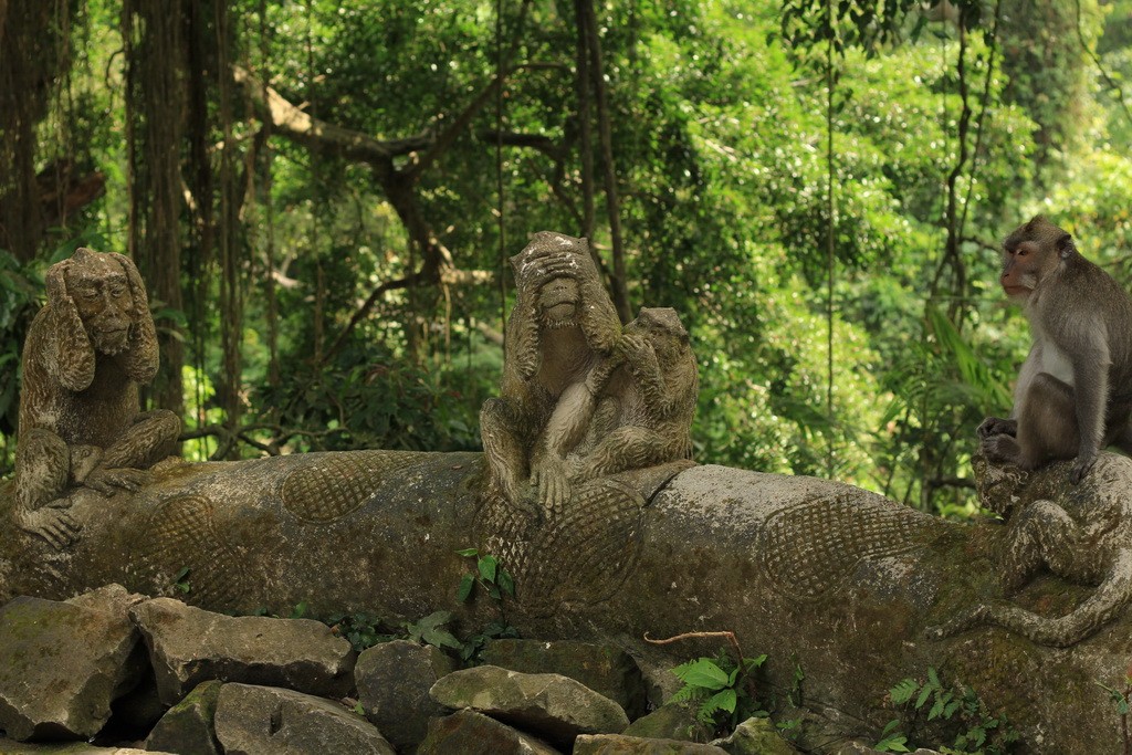 Лес обезьян в Убуде. Скульптуры обезьян.
