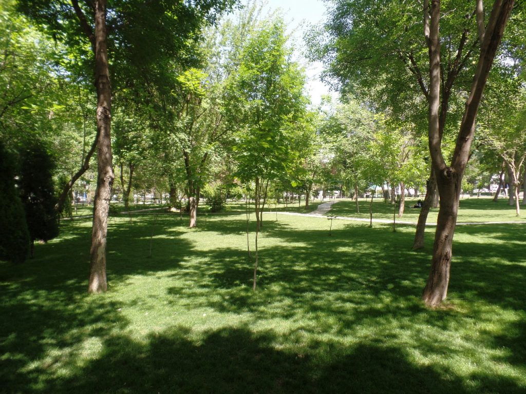 Ташкент очень зеленый город.